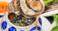 Phu Yen’s Bounty: Unearthing the Freshest Produce at Local Markets