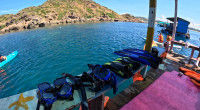 Dive into a Dứa Island Quy Nhon: The Ultimate Dứa Island Diving Tour 1 Day
