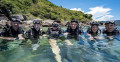Quy Nhon Dive Paradise: The Ultimate Guide to Quy Nhon Diving 1 day Tours